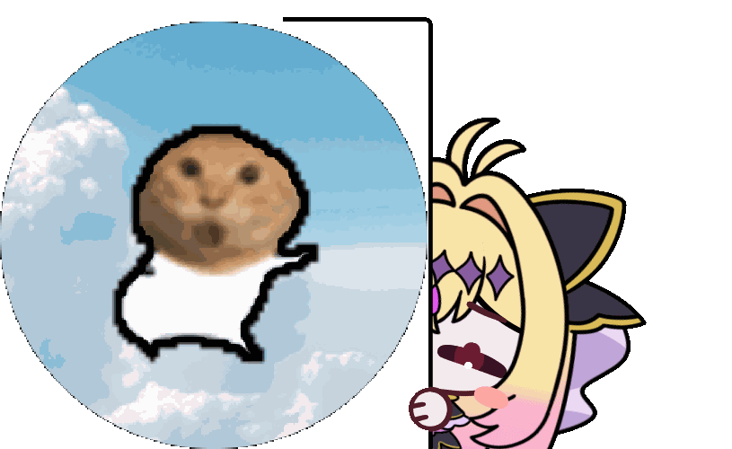 meme moria_ruruka_probe